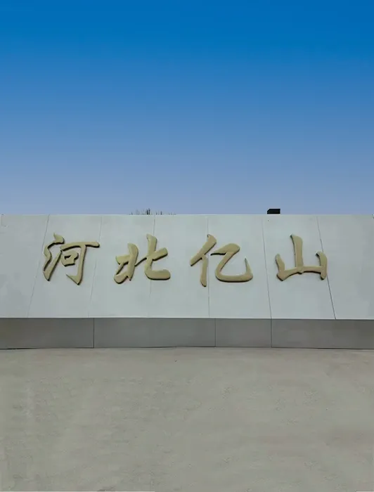 glacial acetic acid factory