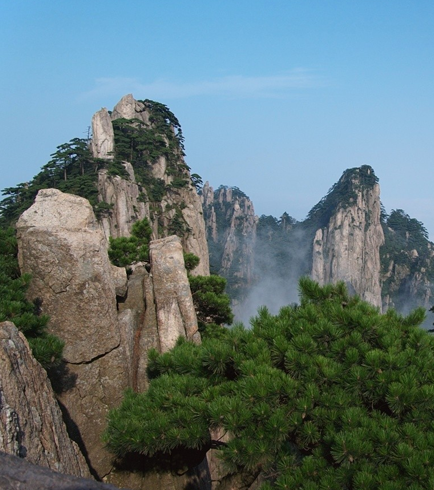 submersible condensate pump