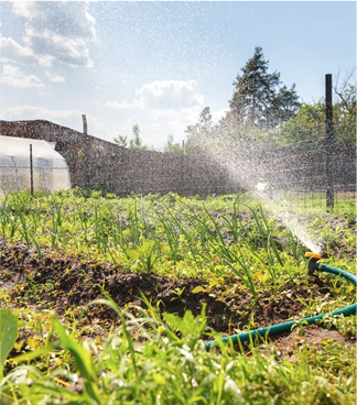 1 1/2 horsepower submersible well pump