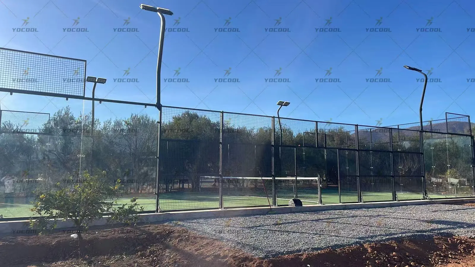 Paddle Tennis and Pickleball: a thriving sport