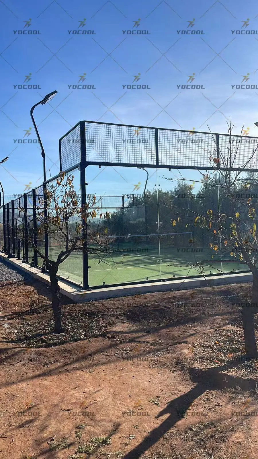 Paddle Tennis and Pickleball: The Hottest Sports Trends