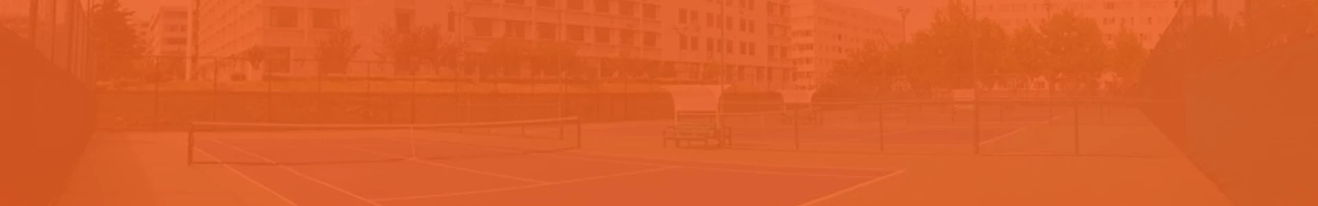 court paddle supplier