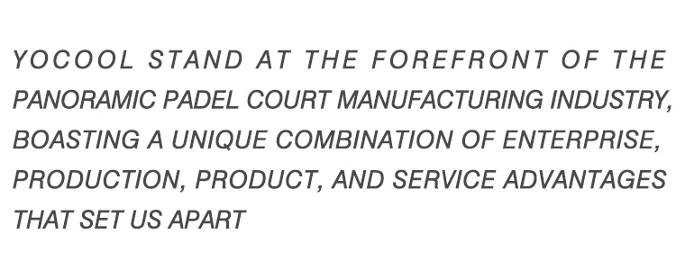 professional ping pong paddle