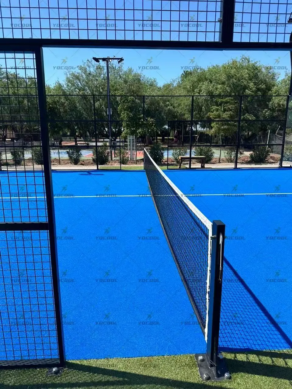 Padel Tennis and Squash: The New Trend in Sports