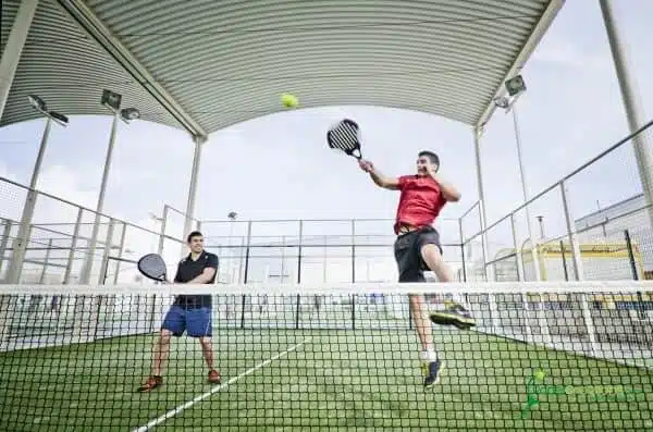 Affordable Indoor Paddle Tennis Equipment for Wholesale Buyers and Enthusiasts