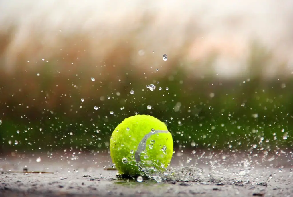 Exploring the Rise of Georgia's Premier Racquetball Manufacturing Hub and Its Impact on the Sport