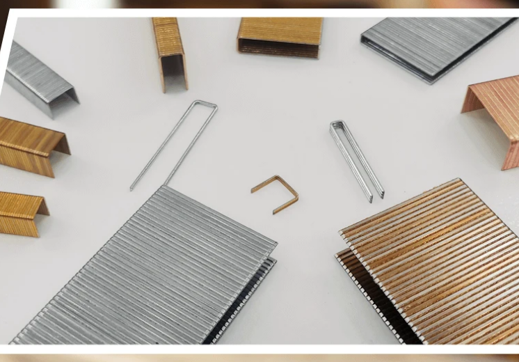 Global Industry Insights With Staple Manufacturers