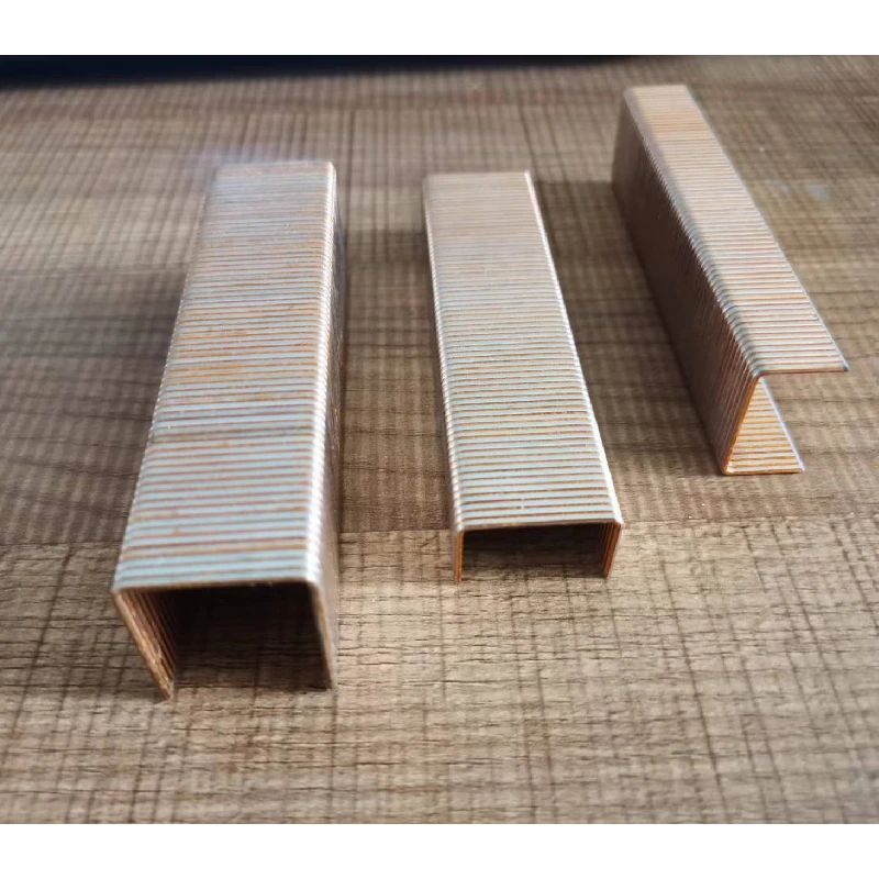 Premium 1 Inch Crown Staples | Secure & Durable Fastening