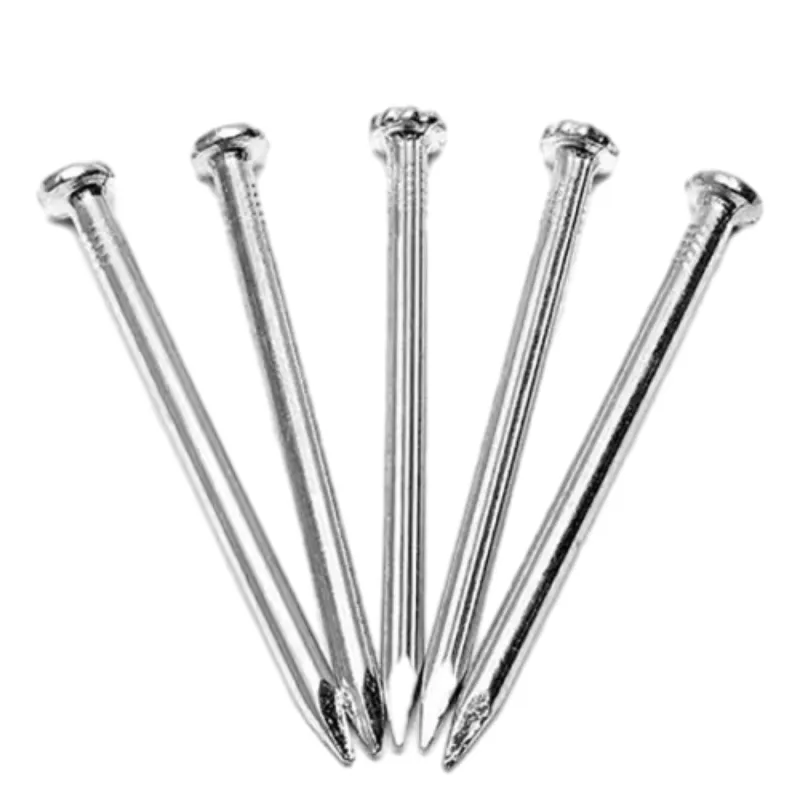 Common Types of Nails: Durable, Versatile, Fast Shipping