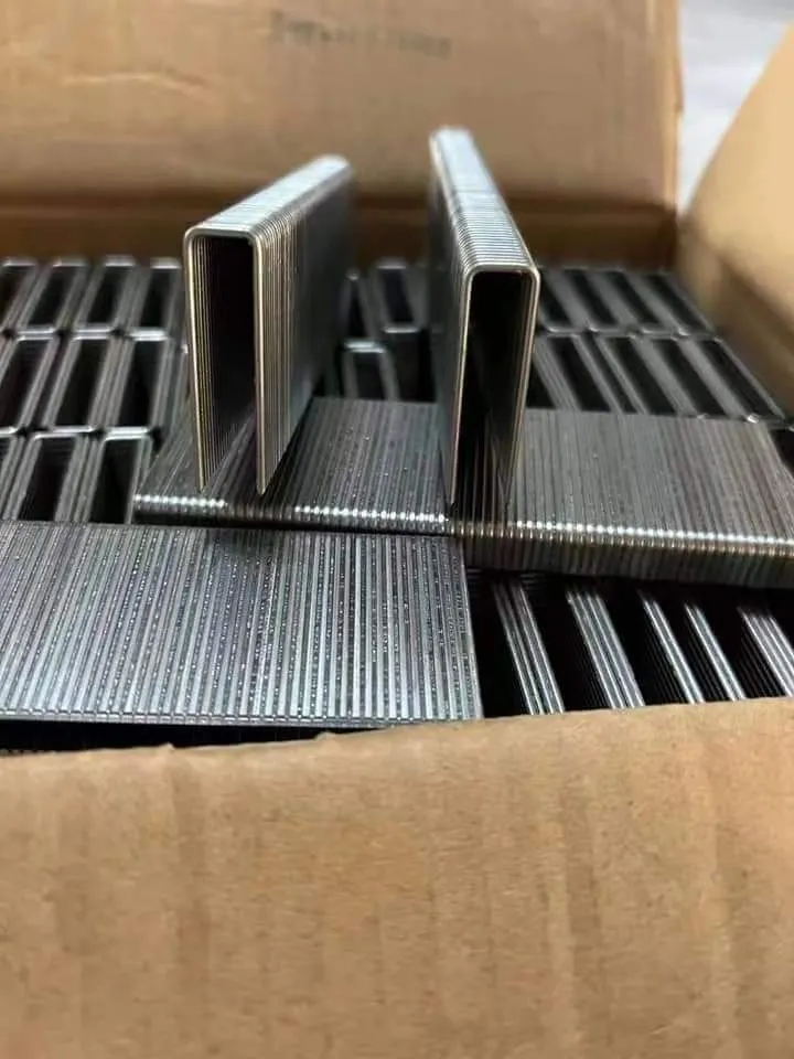 3 8 heavy duty staples