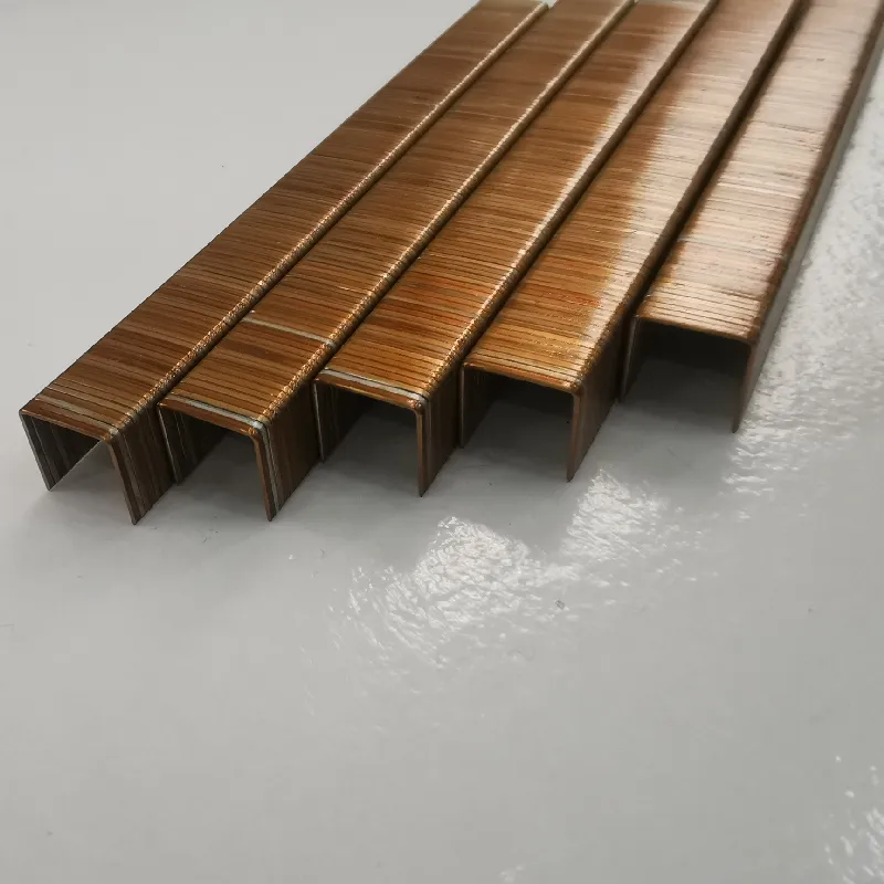 21 Gauge 1/2 Inch Crown 84 Series Fine Wire Staple-Baoding Yongweichangsheng|Galvanized Staples, Industrial Fasteners