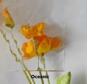 Elevating Spaces with Decorative Glass Panels: A World of Elegance and Functionality