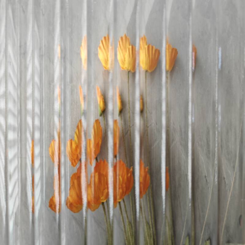 frosted glue chip glass