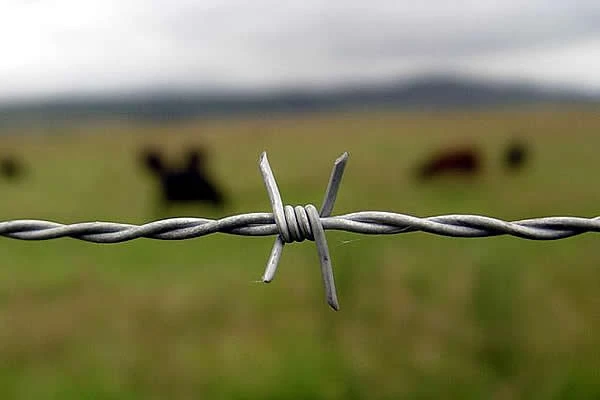 블랙 용접 와이어 펜넬 | 내구성 및 안전성을 겸비한 울타리