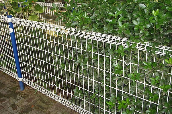 chain link fence china