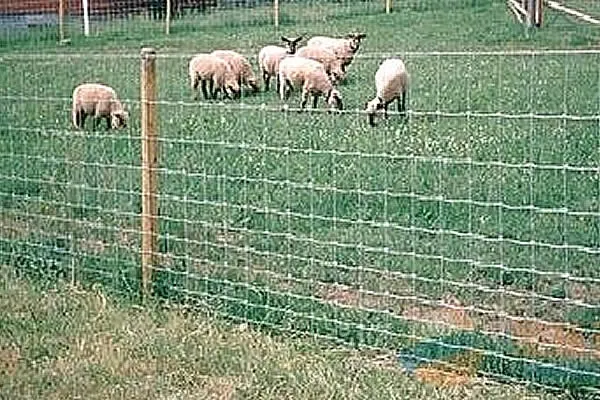 wire mesh retaining wall system