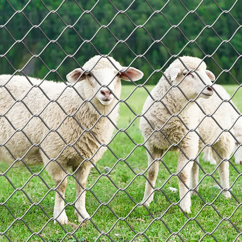 Choosing the Right Fence for Your Needs