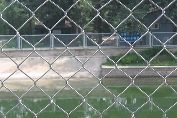 Durable and Stylish Metal Mesh Screens for Windows to Enhance Your Home's Security and Ventilation