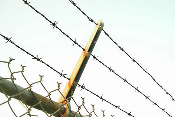 High-Strength 316 Stainless Steel Wire Ideal for Various Industrial Applications and Projects