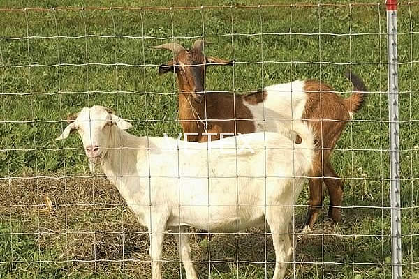 High-Strength 5mm Steel Cable for Various Applications and Optimal Durability in Tough Conditions