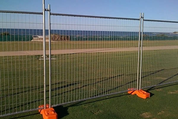 Choosing the Right 1800mm Aviary Mesh for Your Bird Enclosure and Outdoor Aviary Needs