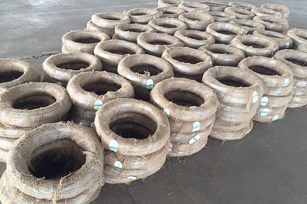 Effective Protection Against Mosquitoes with Mesh Doors and Windows for Your Home