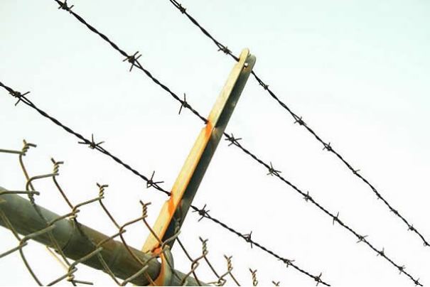 The Benefits of Installing Insect Screens in Windows for a Comfortable Living Environment