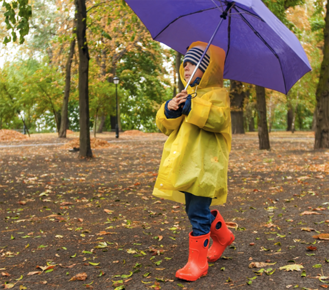 St Francis Cremation Service Provider for Compassionate Farewells and Memorable Celebrations