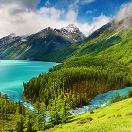 Durable and Stylish PEVA Aprons for All Your Cooking Needs