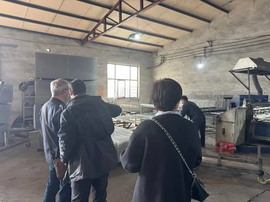 Spanish Client Delegation Visits Our Factory for Exchange, Exploring New Cooperation Opportunities in Welded Wire Products