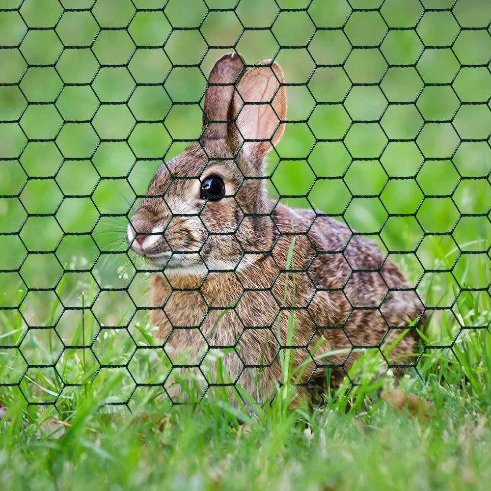 Hexagonal Wire Mesh For Poultry Netting: Durable And Safe Solutions For Chicken, Duck, And Rabbit Cages
