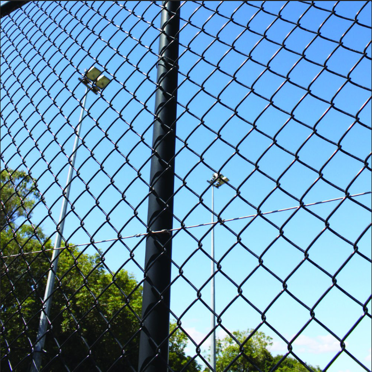Using Chain Link Fence for Urban Garden Support
