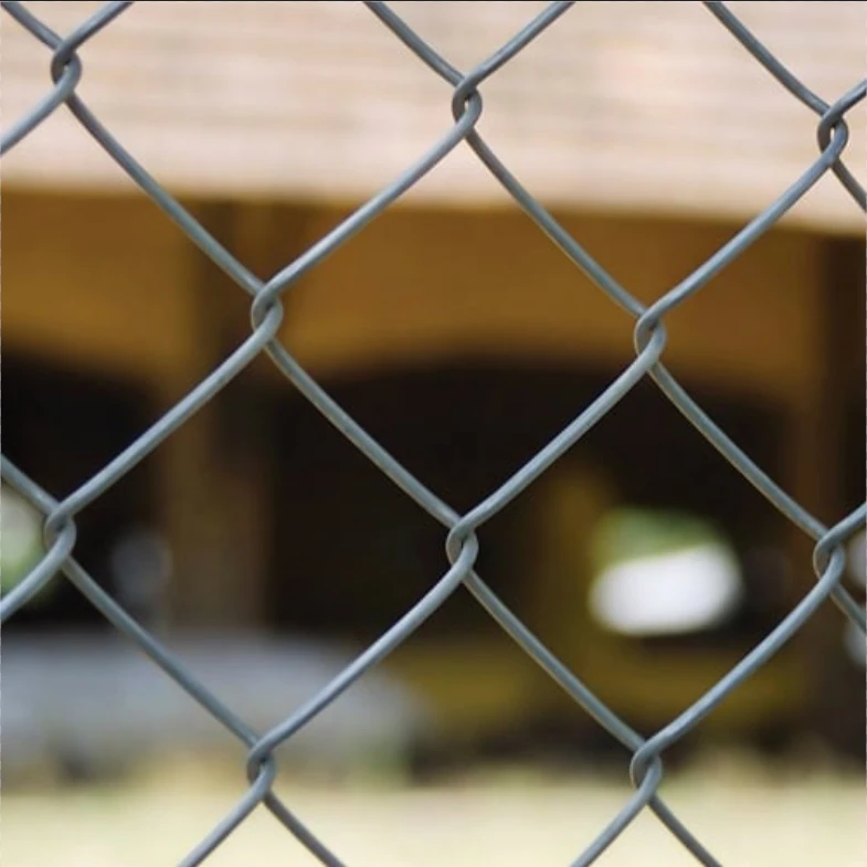 chicken wire with spikes