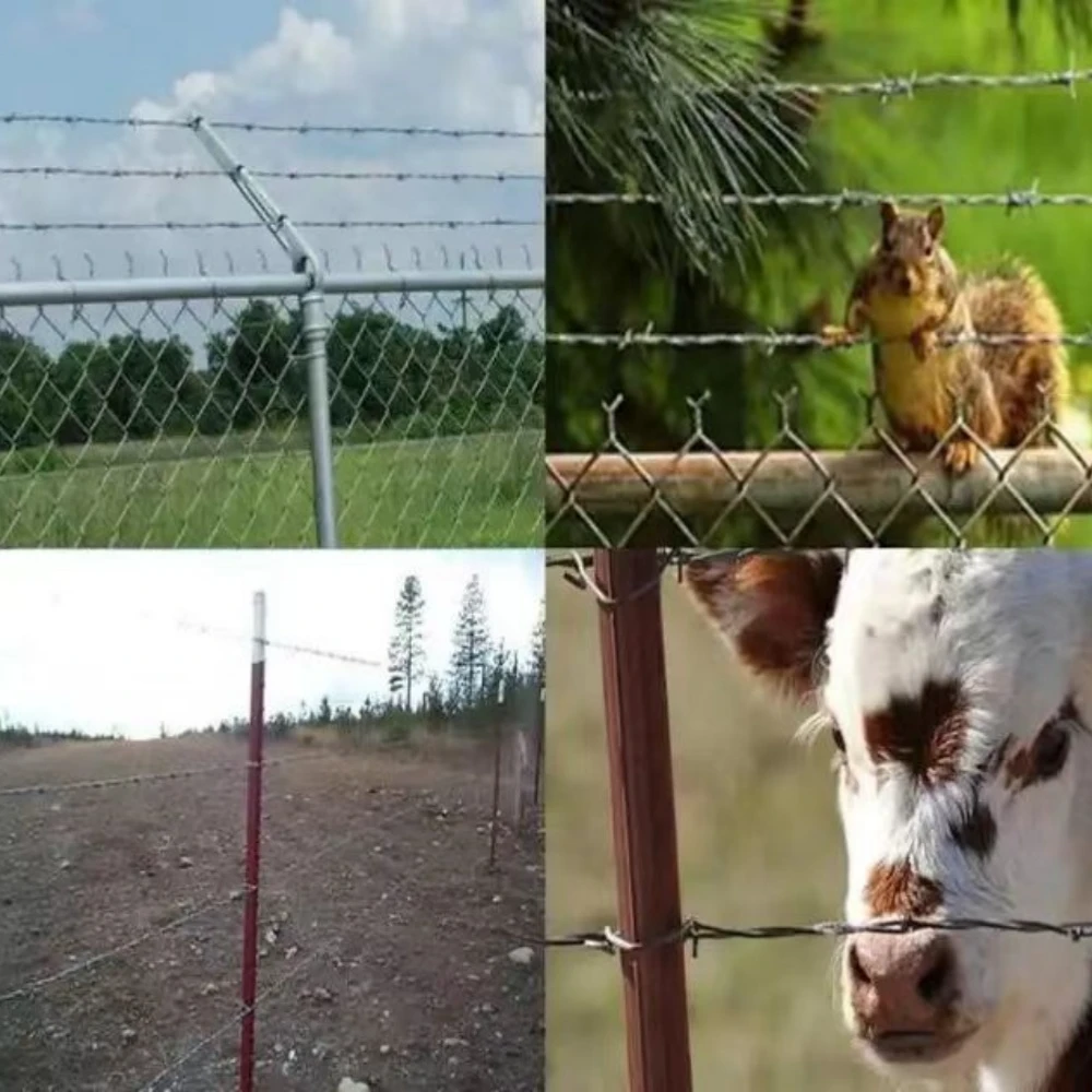 Barbed Wire for Sale--Secure and Reliable Solutions