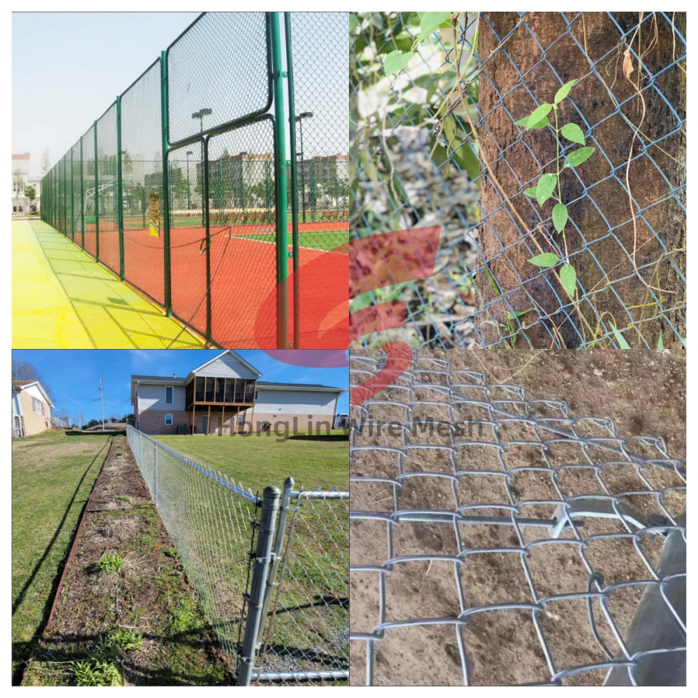 Barbed Wire Fence and Square Wire Fence: Effective Protection Against Wild Animals