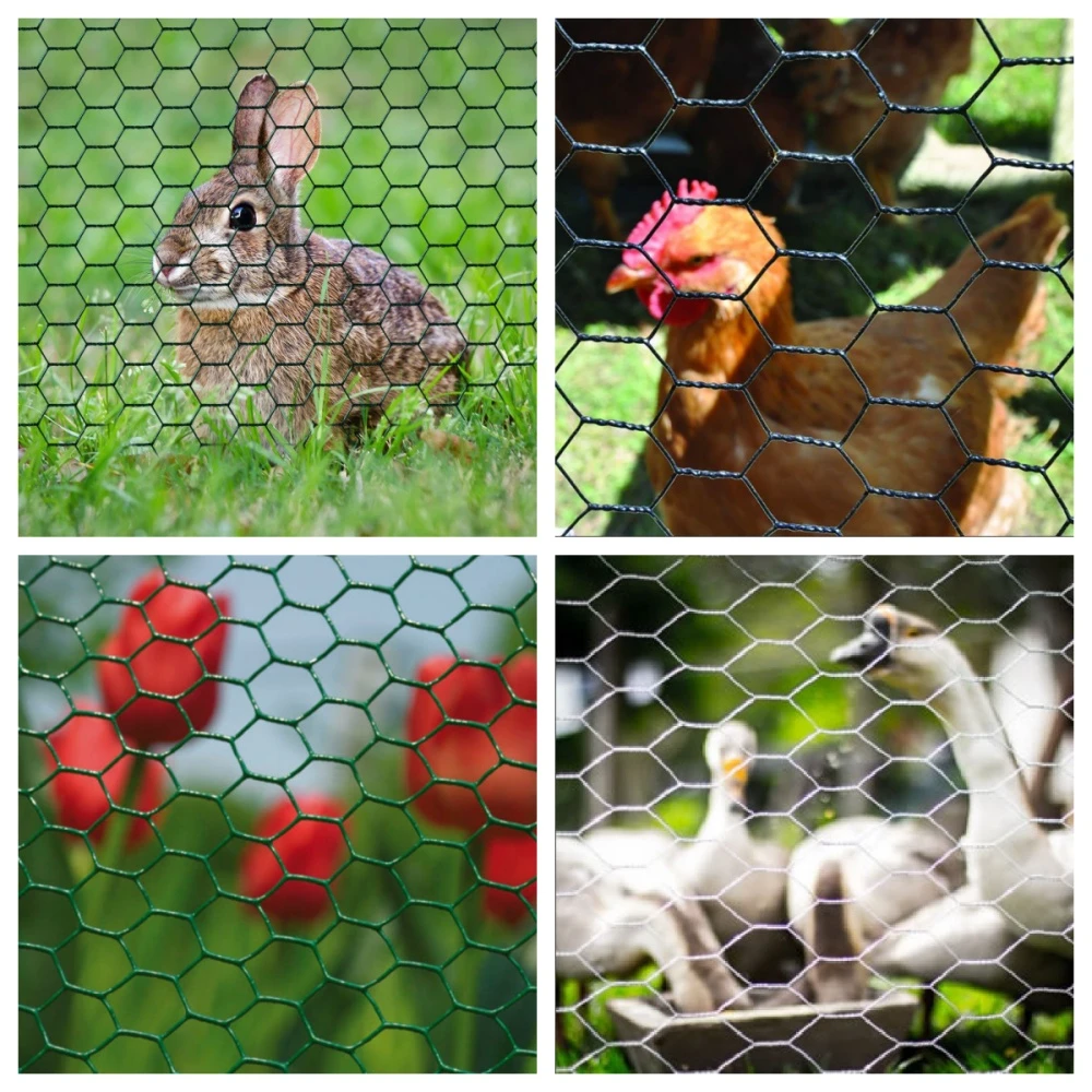 The Ultimate Guide to Poultry Netting Solutions