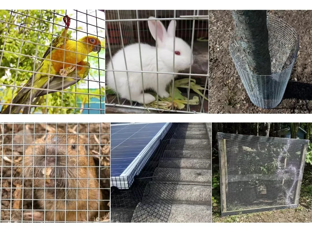 The Ultimate Guide to Welded Mesh Solutions