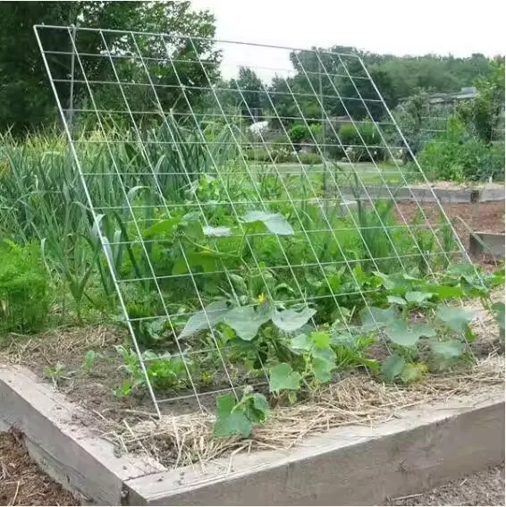high chain link fence