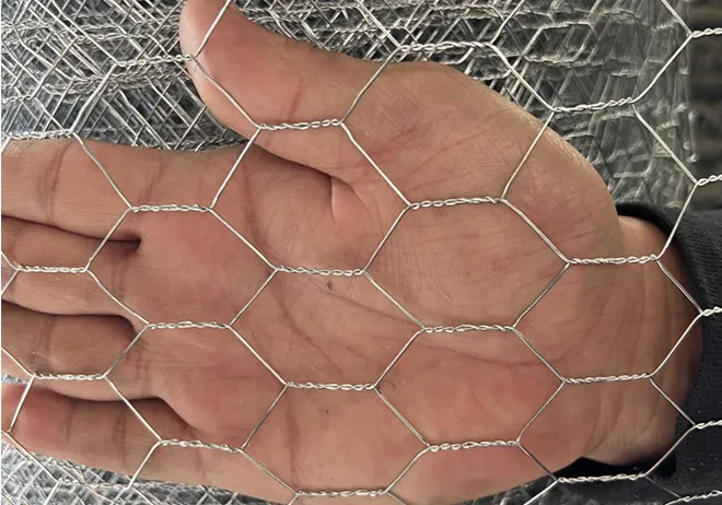 The Essential Guide to Hexagonal Wire Mesh Solutions