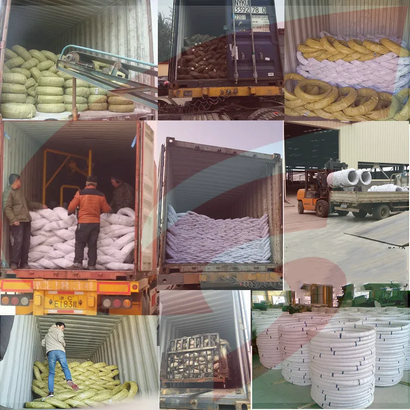 electro galvanized welded wire mesh