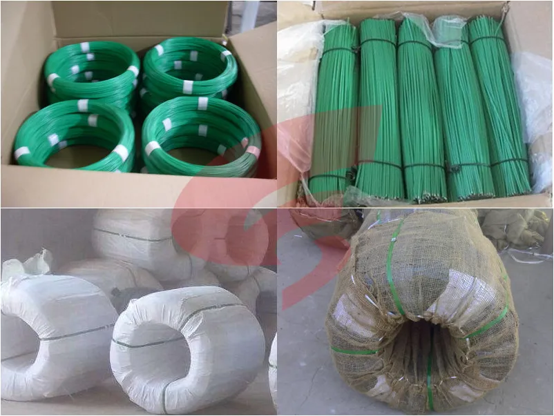 electro galvanized welded wire mesh