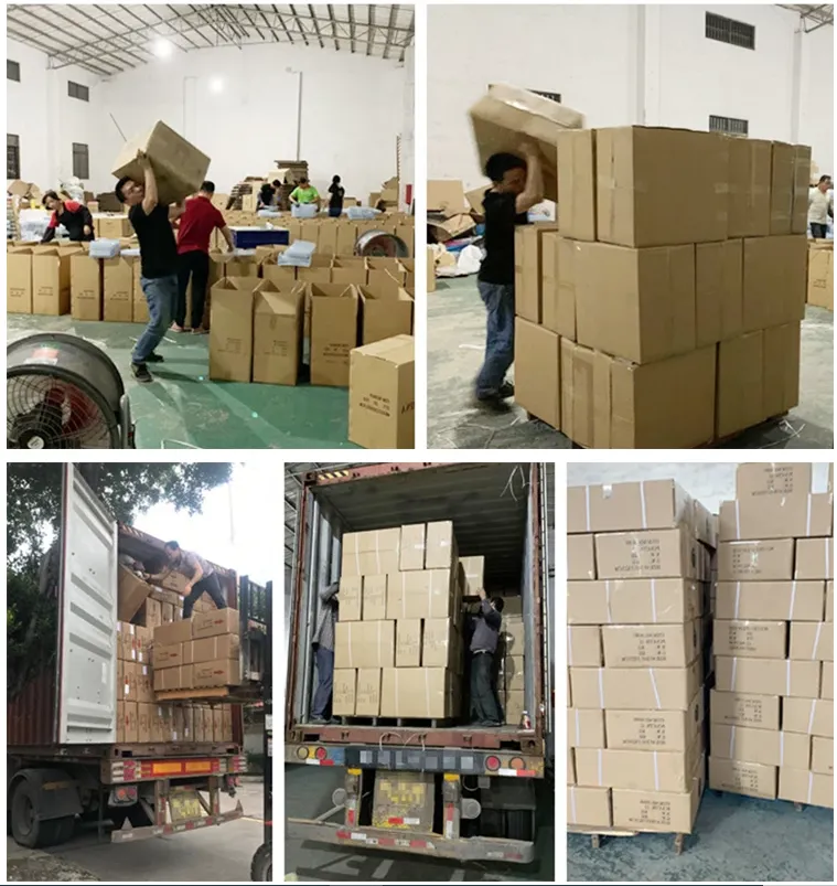 Stainless Steel Animal Cat Cage