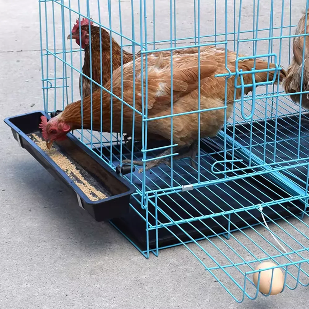 Poultry Mesh Chicken Cage