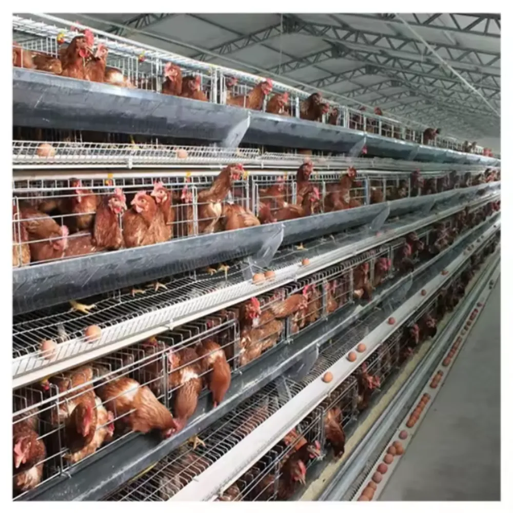 Poultry Mesh Chicken Cage