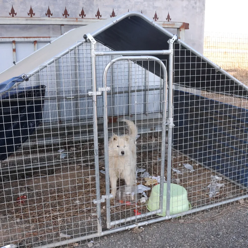 Multiple Sizes Outdoor Dog Cages