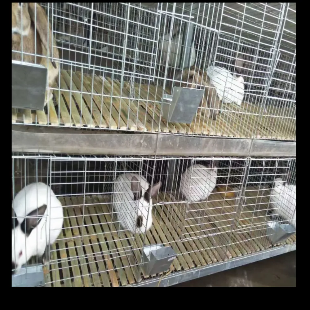 Rabbit Pet Iron Cage