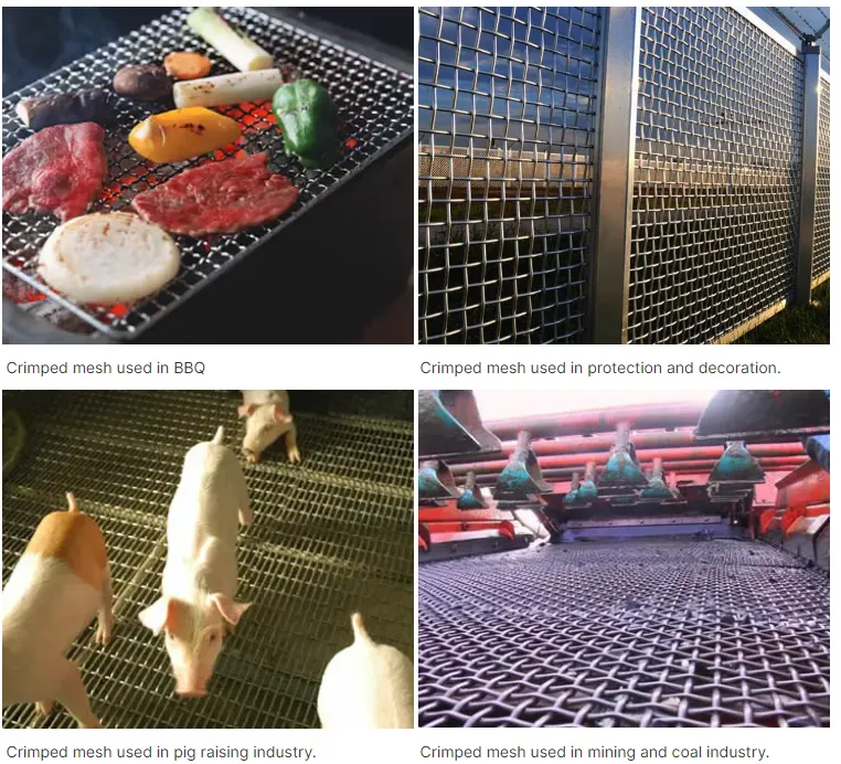 electro galvanized welded wire mesh