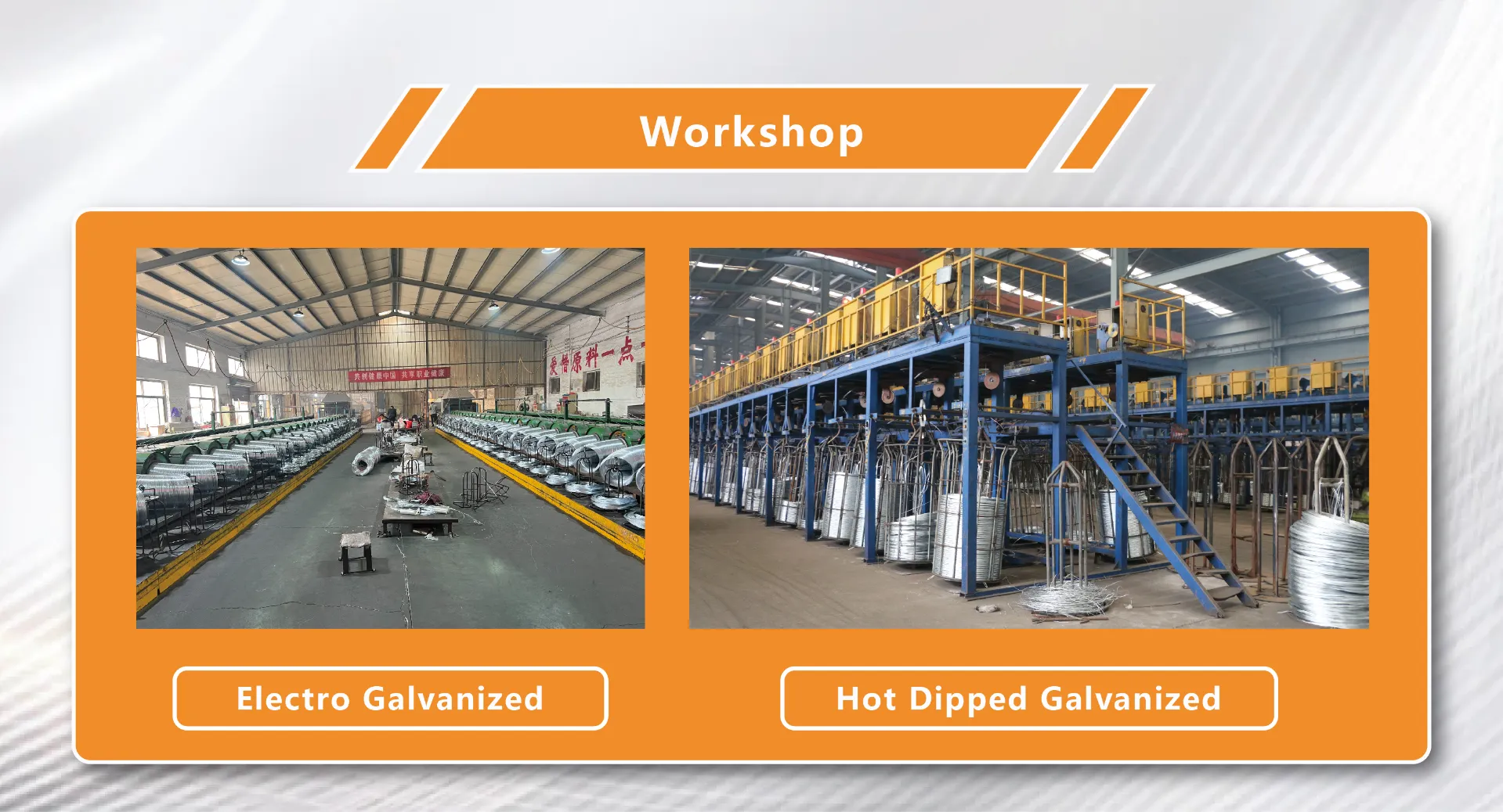 electro galvanized welded wire mesh