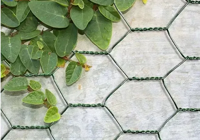 The Essential Guide to Hexagonal Wire Mesh Solutions