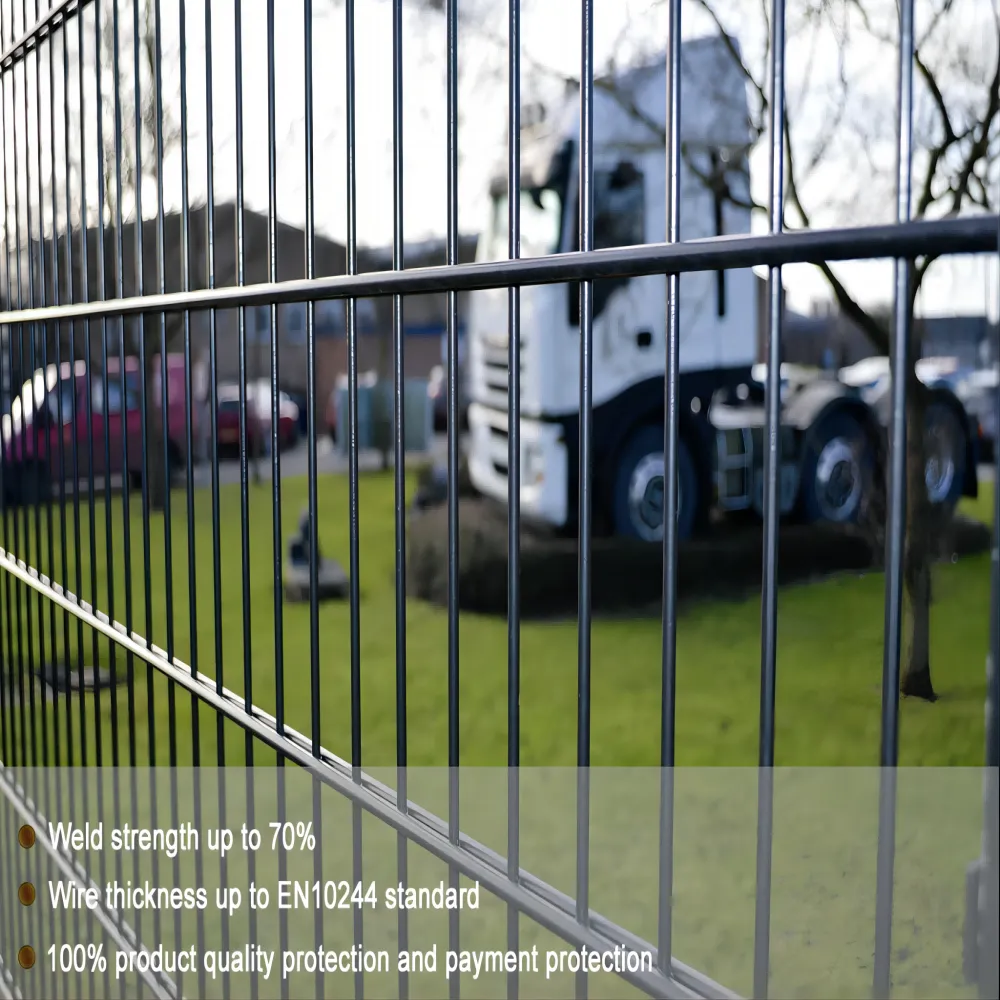 Double Wire Mesh Fence